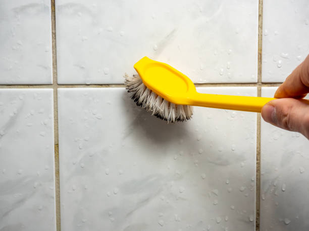 Office Mold Removal Services in Pickerington, OH