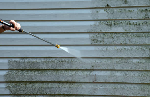 Best Certified Mold Removal  in Pickerington, OH
