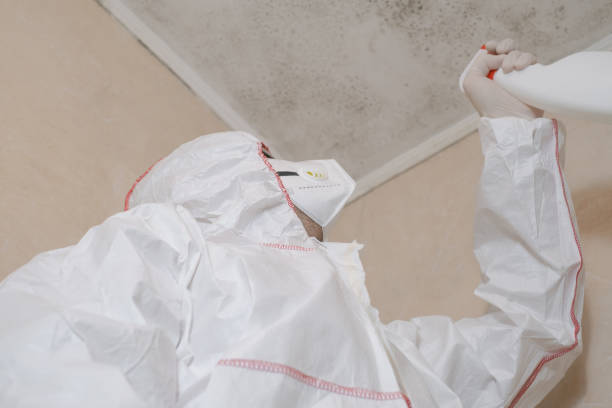 Certified Mold Removal in Pickerington, OH