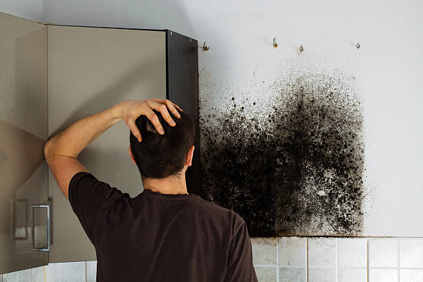 Certified Mold Removal in Pickerington, OH